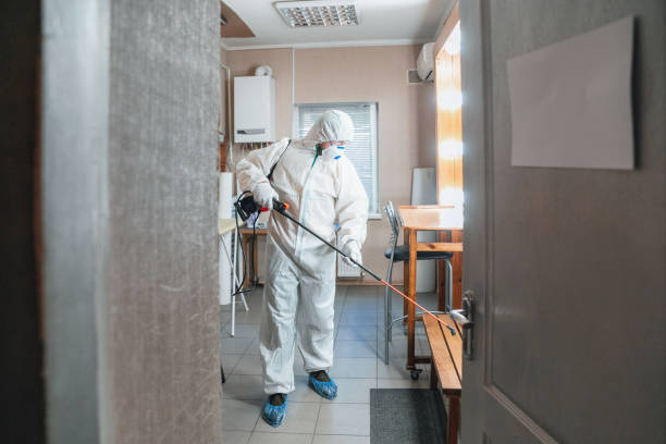 Dehumidification Services in Orange Lake, NY