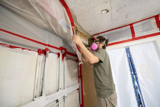 Orange Lake, NY Mold Removal Company