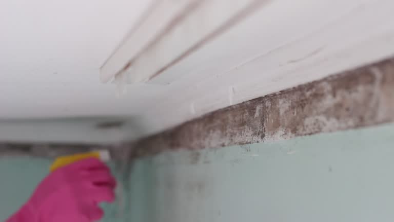 Best Indoor Air Quality Assessment  in Orange Lake, NY